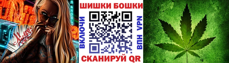 где продают наркотики  Щигры  Каннабис сатива 
